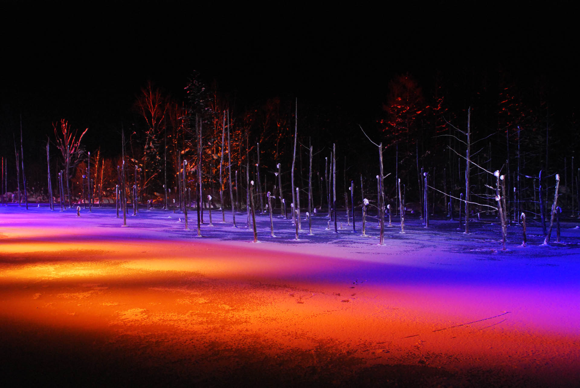 青い池 風景写真ギャラリー 北海道 ライトアップ